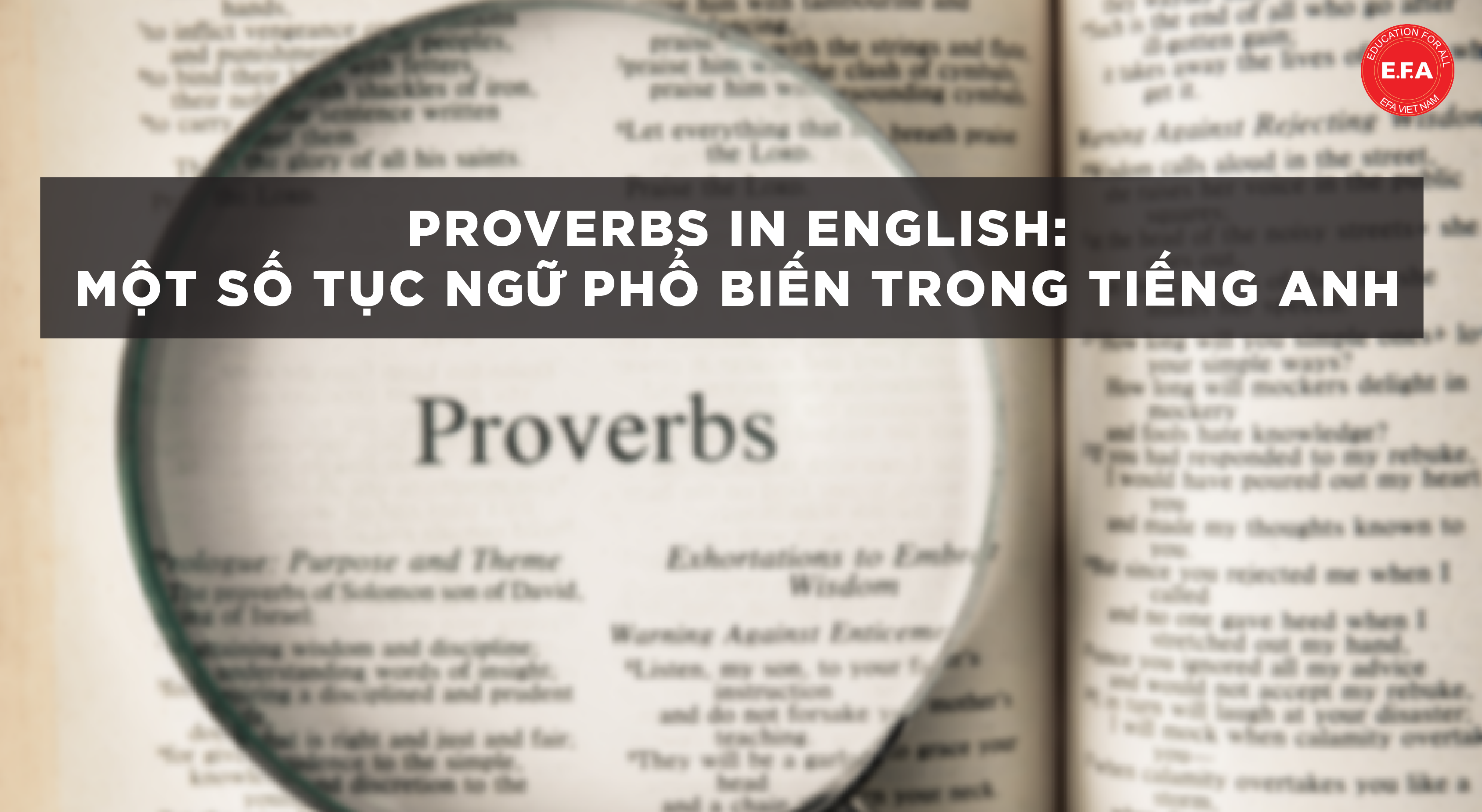 Proverb in English 