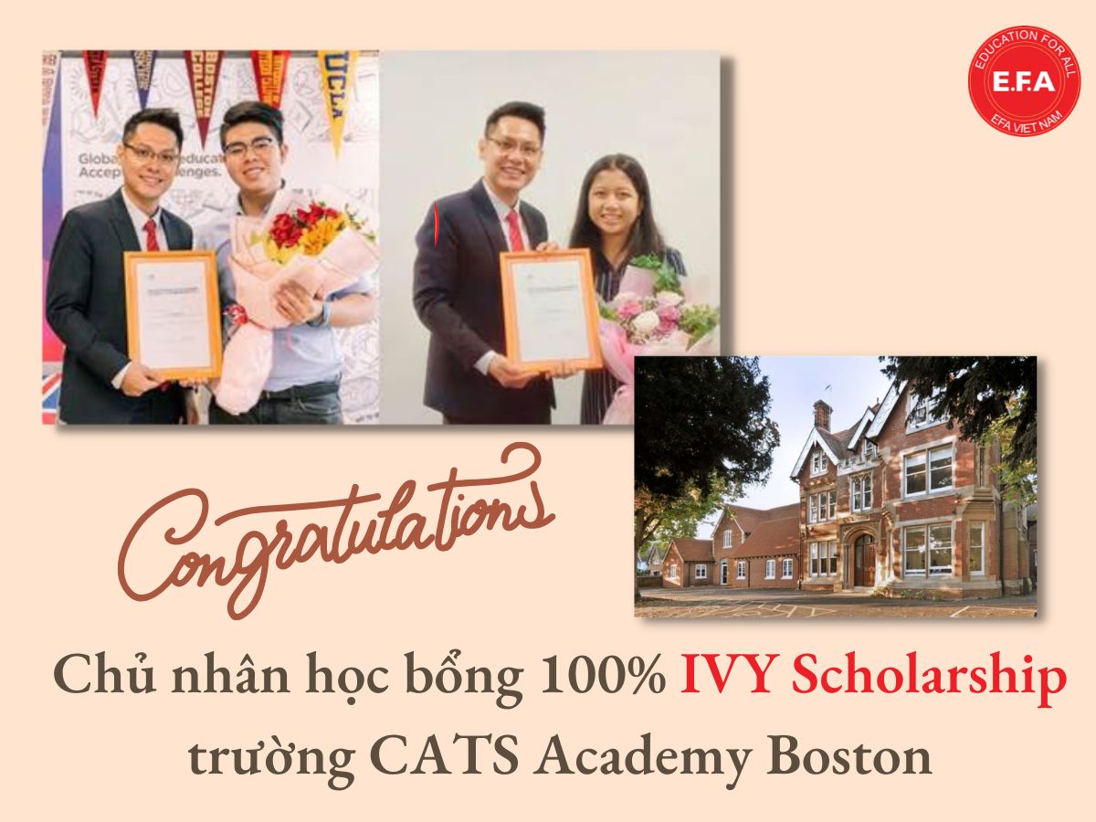 Cats Academy Boston 