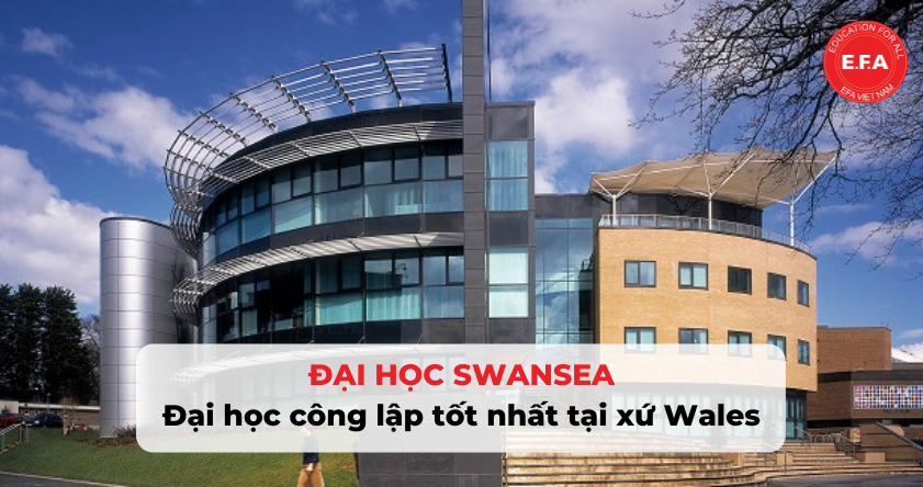 Đại học Swansea