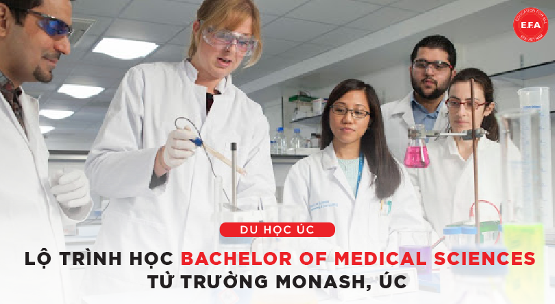 Monash University và lộ trình học bậc Cử nhân Bachelor of Medical Sciences
