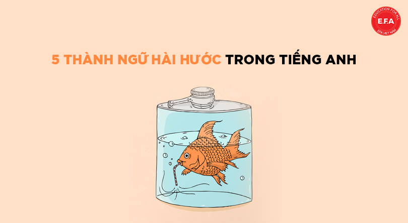 Khám phá 5 thành ngữ hài hước trong tiếng Anh