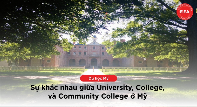 University và College