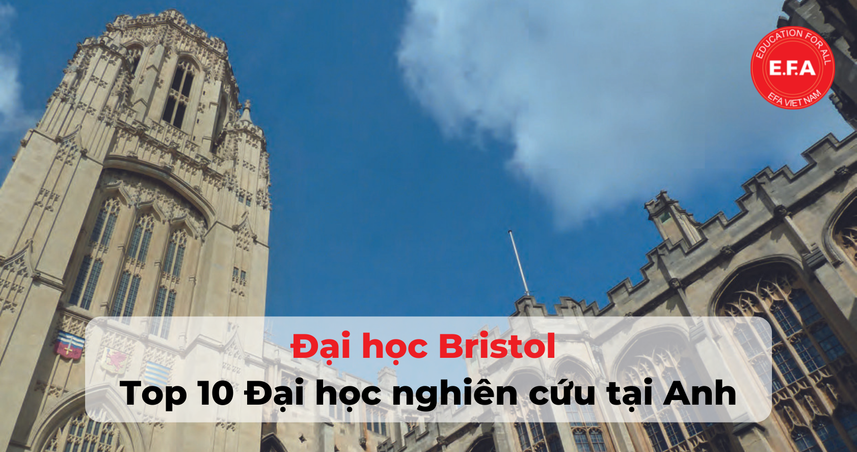 Đại học Bristol