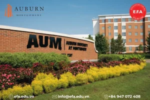 đại học auburn montgomery