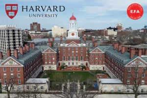 Harvard University