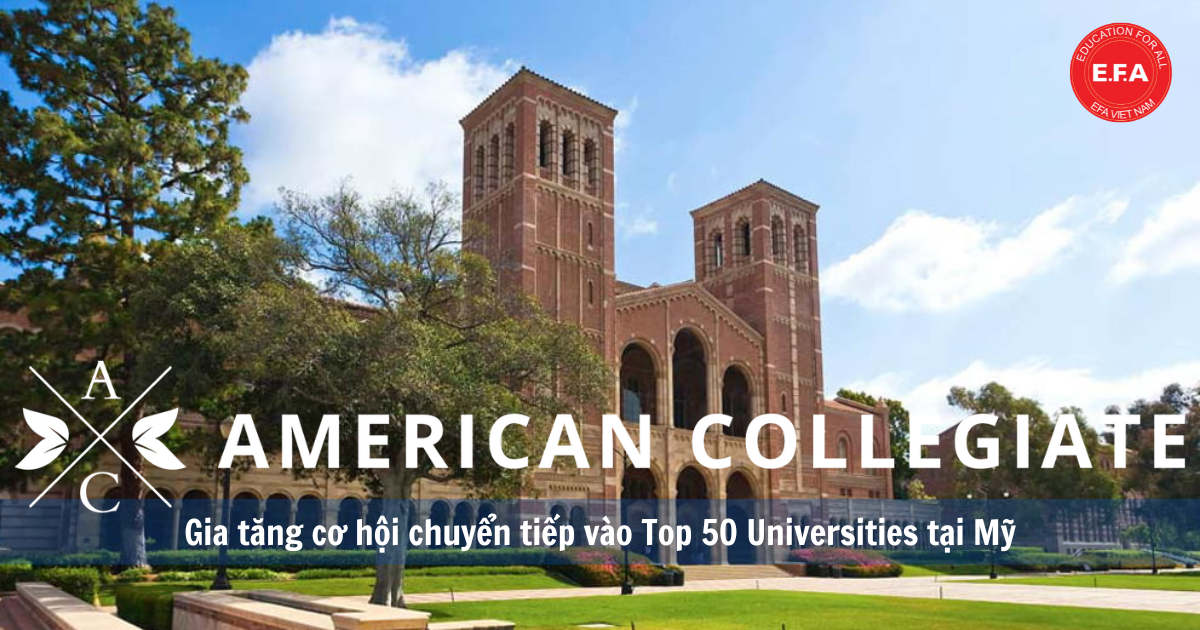 American Collegiate