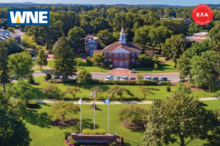 Western New England University