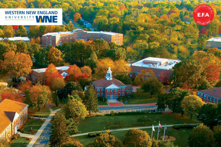 Western New England University