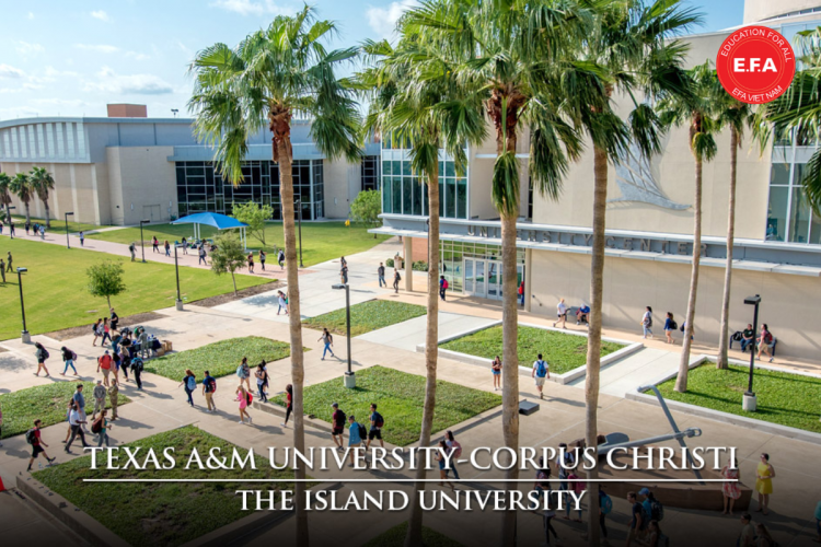 Texas A&M University - Corpus Christi