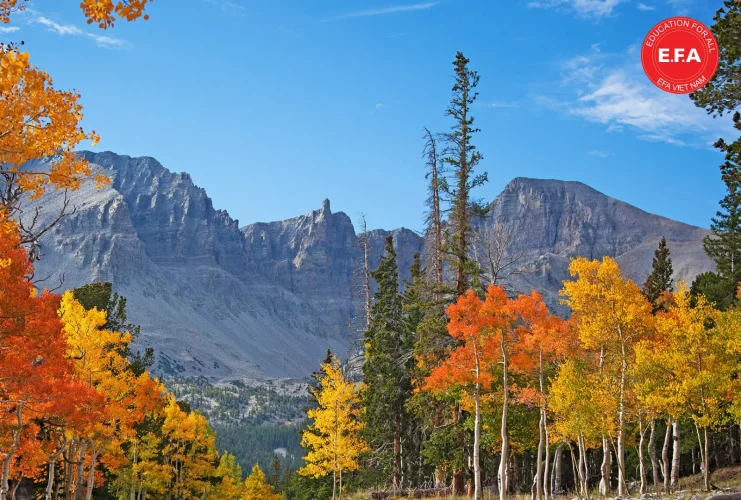 nevada, Great Basin