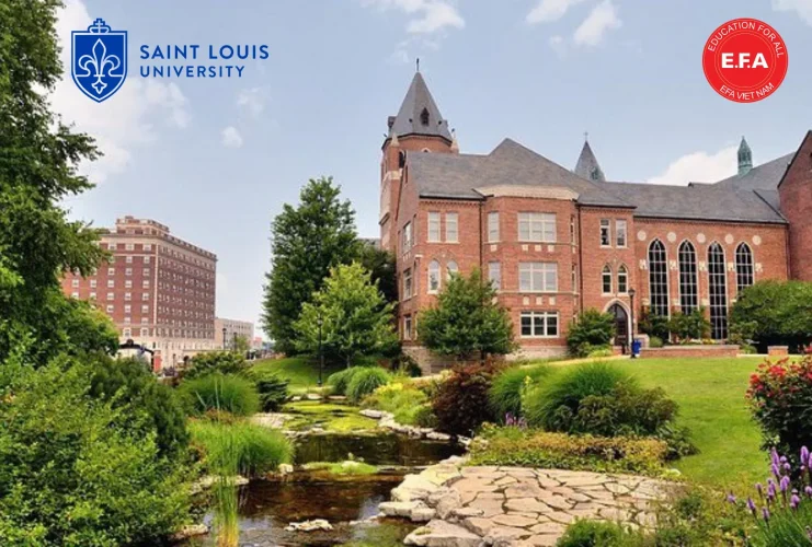 Saint Louis University