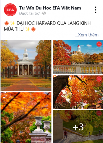 harvard