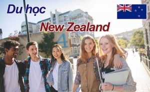 DU HỌC NGHỀ TẠI NEW ZEALAND: ITP VS PTE – NÊN CHỌN LỘ TRÌNH NÀO?