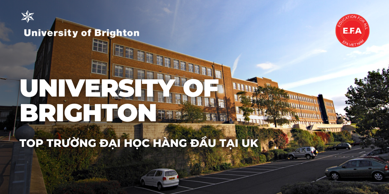 UNIVERSITY OF BRIGHTON – TOP TRƯỜNG ĐẠI HỌC HÀNG ĐẦU TẠI UK