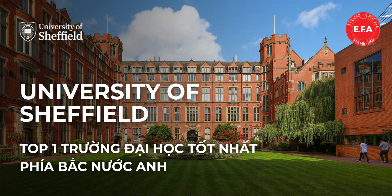 UNIVERSITY OF SHEFFIELD - TOP 1 TRƯỜNG ĐẠI HỌC TỐT NHẤT PHÍA BẮC NƯỚC ANH