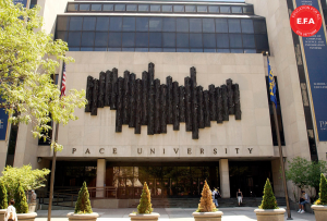 PACE UNIVERSITY - TOP TRƯỜNG ĐẠI HỌC HÀNG ĐẦU VỀ LUẬT TẠI MỸ