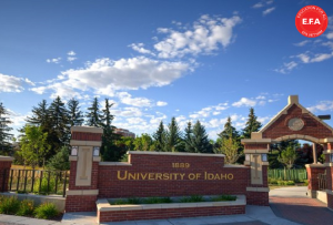 UNIVERSITY OF IDAHO - TRƯỜNG ĐẠI HỌC HÀNG ĐẦU VỀ NGHIÊN CỨU TẠI MỸ