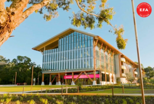 MURDOCH UNIVERSITY – TOP ĐẠI HỌC QUỐC TẾ TỐT NHẤT TẠI ÚC 