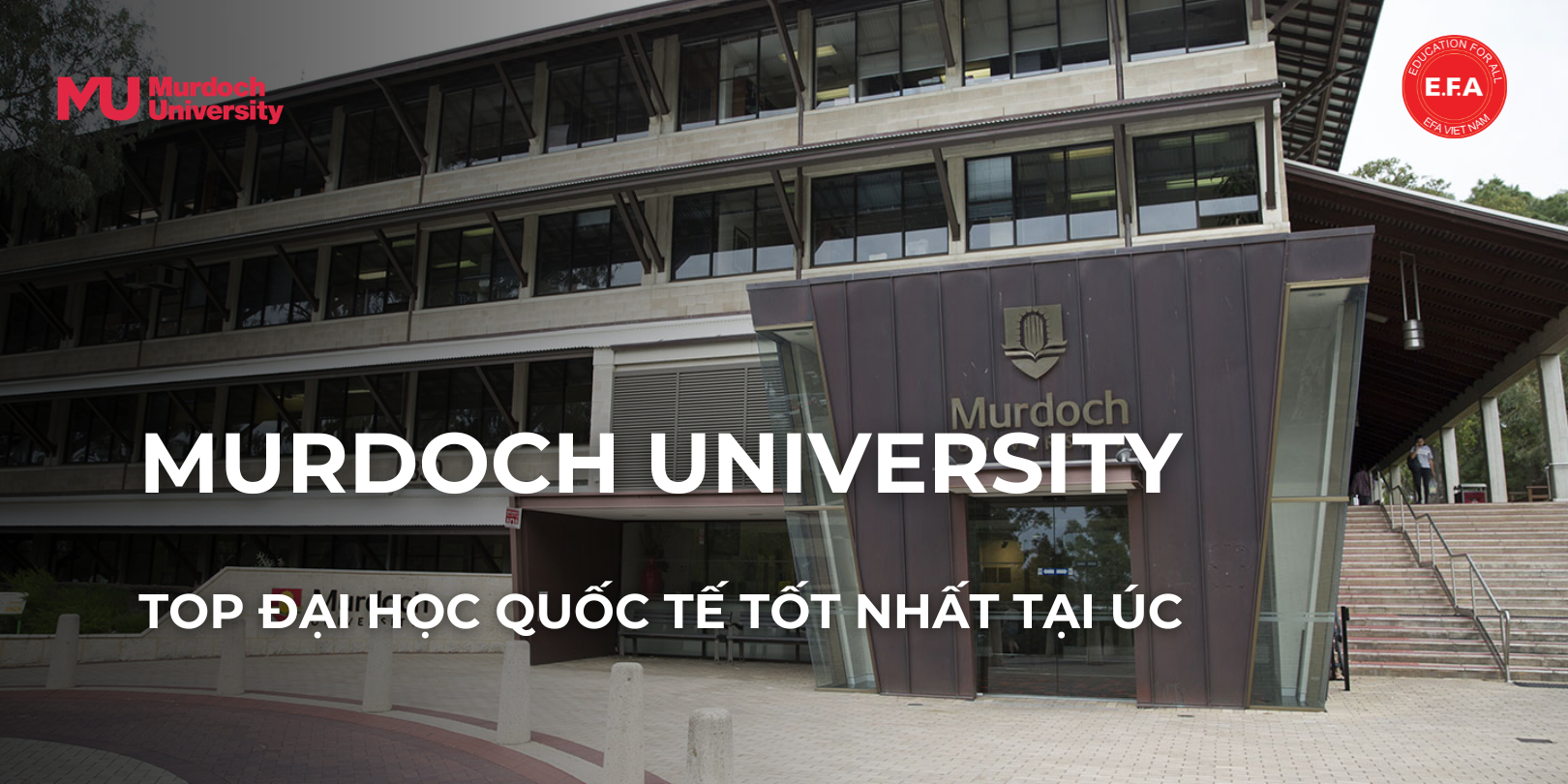 MURDOCH UNIVERSITY – TOP ĐẠI HỌC QUỐC TẾ TỐT NHẤT TẠI ÚC