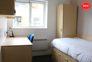 STAFFORD HOUSE INTERNATIONAL – TỪ GIẢNG ĐƯỜNG NHỎ ĐẾN NHỮNG TRẢI NGHIỆM LỚN 
