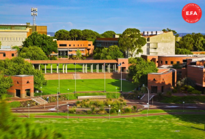 CURTIN COLLEGE - LỘ TRÌNH CHUYỂN TIẾP VÀO ĐẠI HỌC TOP 1% THẾ GIỚI
