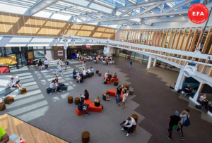 DEAKIN COLLEGE - MỞ LỐI ĐẾN DEAKIN UNIVERSITY, ĐẠI HỌC TOP 1% THẾ GIỚI 